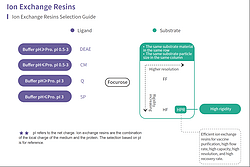 Chromatography Resins Product-Ion Exchange Resins