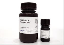 Fluorescent Microspheres
