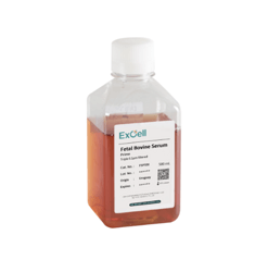 优级胎牛血清（南美乌拉圭）Fetal Bovine Serum（Prime）(FSP500)