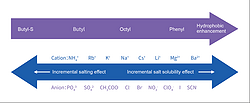 Chromatography Resins Product-Hydrophobic Interaction Resins