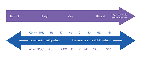 Chromatography Resins Product-Hydrophobic Interaction Resins