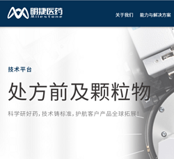 处方前及颗粒物表征