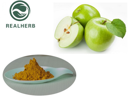 Apple Polyphenols
