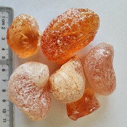 阿拉伯胶天然植物提取物 化妆品乳化增稠 支持拿样 可定制产品