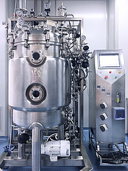 20L-500L不銹鋼生物反應(yīng)器
