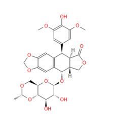 Etoposide