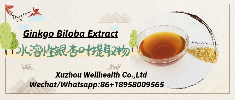 水溶性銀杏葉提取物