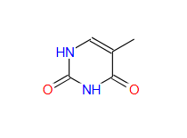 Thymine