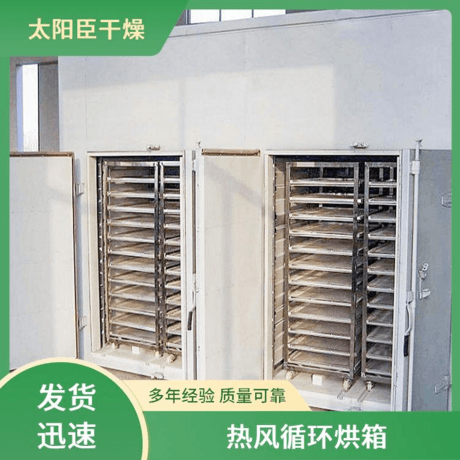 热风循环烘箱 太阳臣干燥 易清洁内胆 防爆安全装置 大容量空间设计