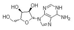 Adinosine ((2S,3S,4R,5S)-2-)6-amino-9H-purin-9-yl)-5-(hydroxymethyk)tetrahydrofuran-3,4-diol)