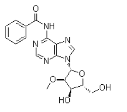N6-benzoyl-O2'-methyladenosine