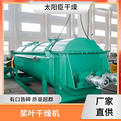 太陽(yáng)臣干燥 抗氧劑烘干機(jī) 酒糟污泥處理設(shè)備 納米碳酸鈣槳葉干燥機(jī)