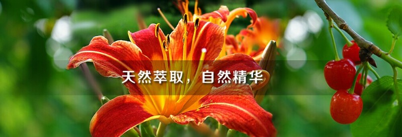 西安三江生物工程有限公司