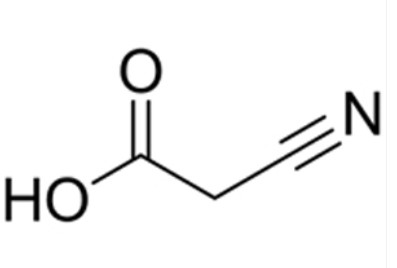 氰乙酸