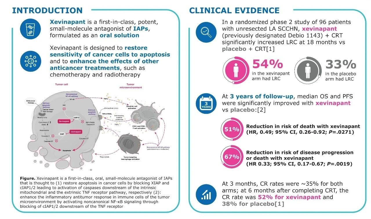 Xevinapant及其II期臨床研究結(jié)果簡(jiǎn)介