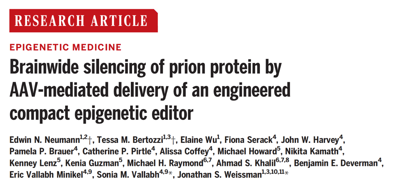 Brainwide silencing of prion protein by AAV-mediated delivery of an engineered compact epigenetic editor 