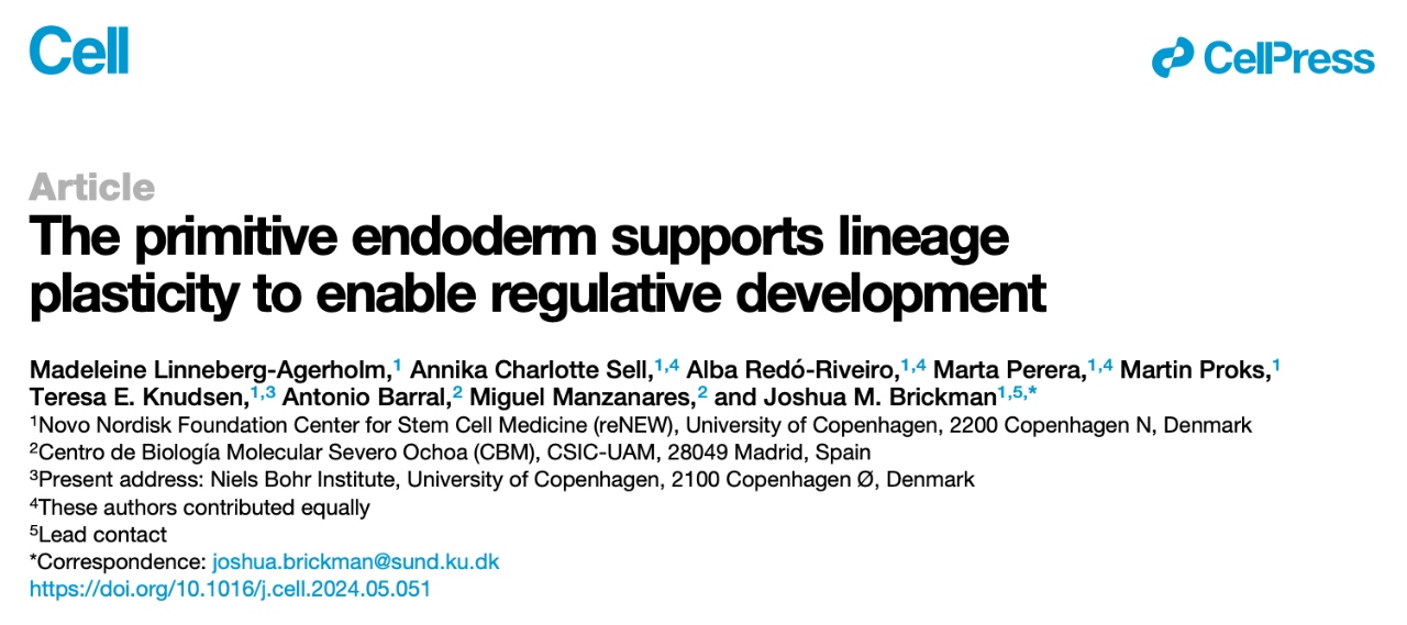 The primitive endoderm supports lineage plasticity to enable regulative development（原始內(nèi)胚層支持譜系可塑性，使調(diào)控發(fā)育成為可能）