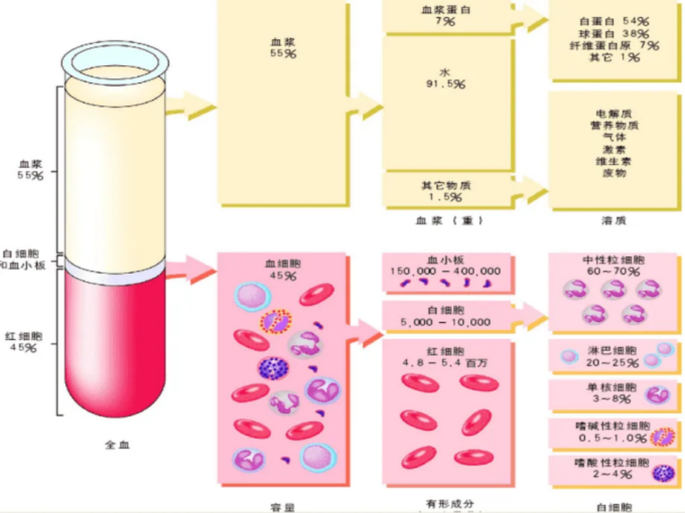 血浆合并及组分初步分离流程图