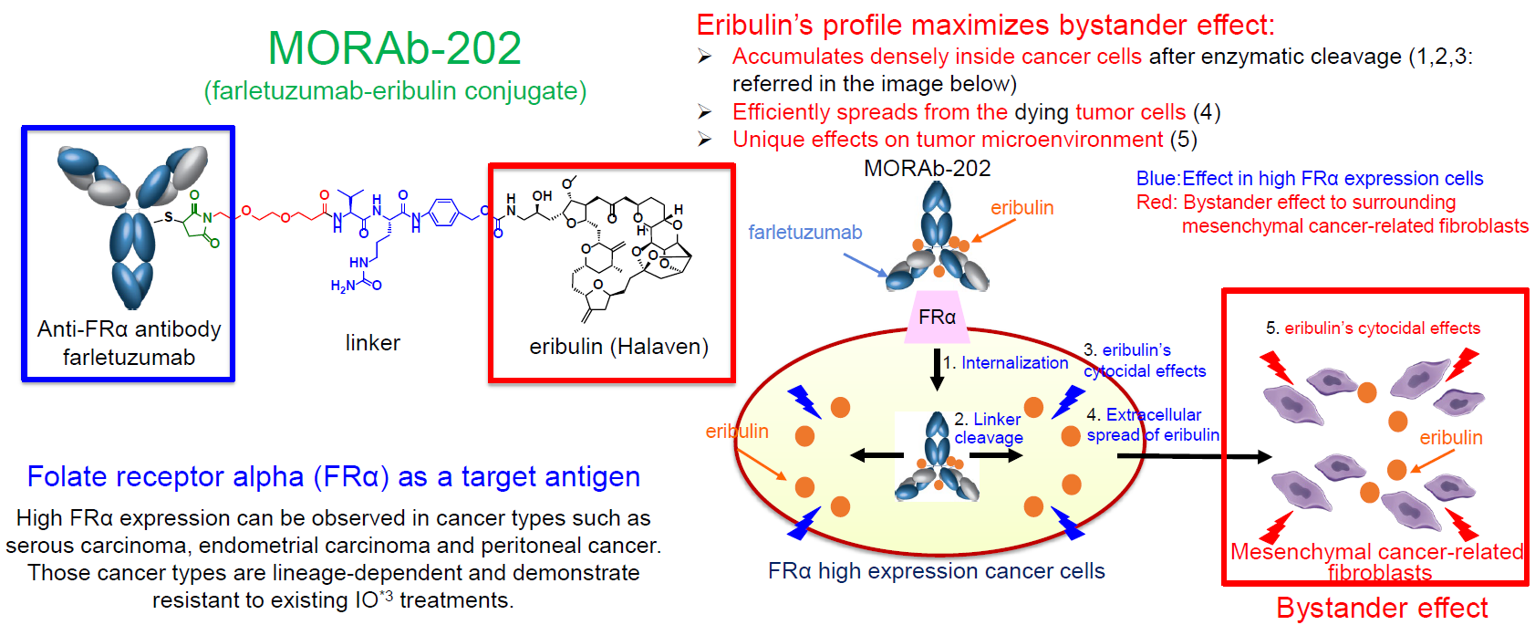 Farletuzumab ecteribulin采用艾日布林為payload，使用可裂解linker，DAR值為4