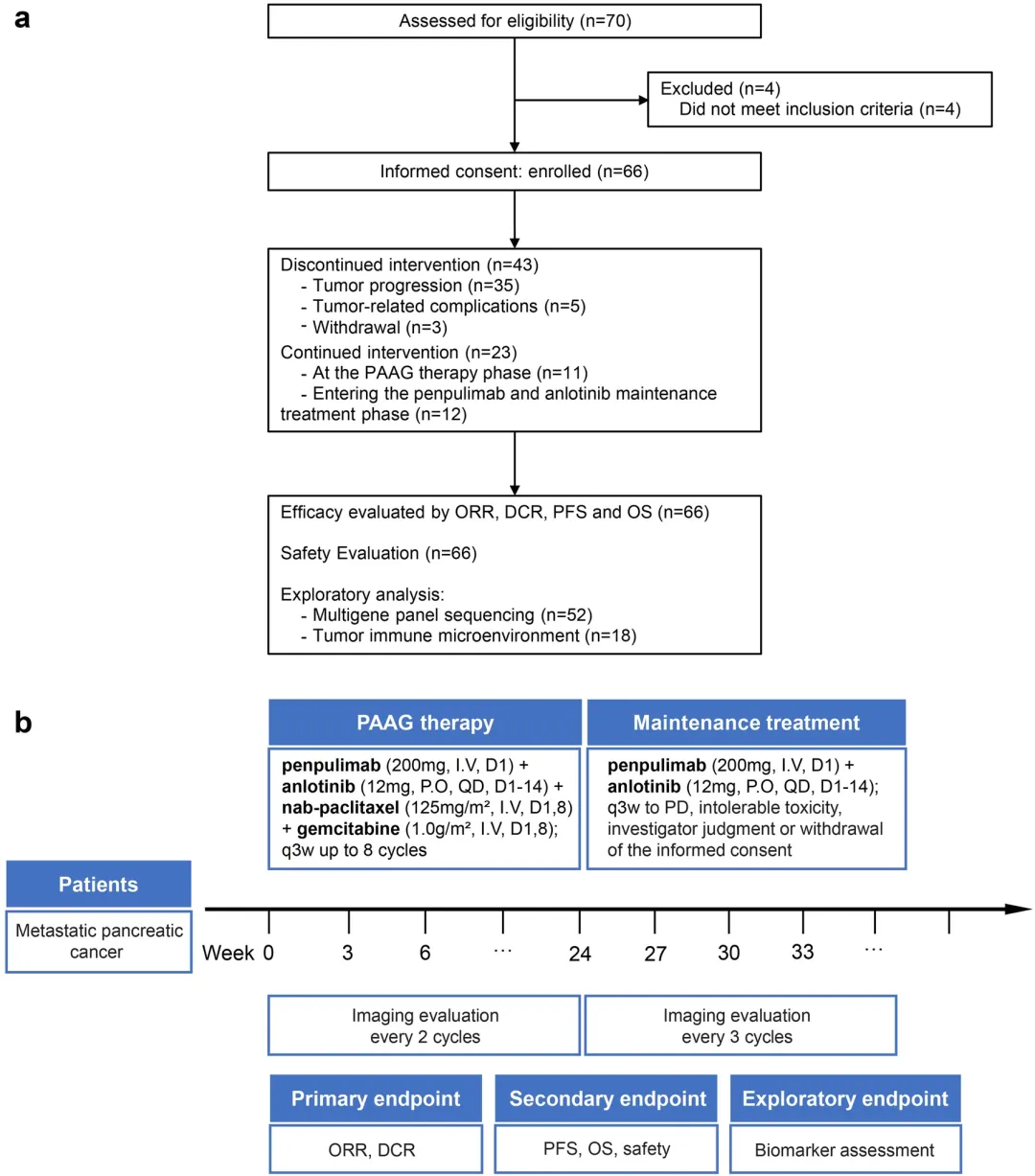 期刊Signal Transduction and Targeted Therapy