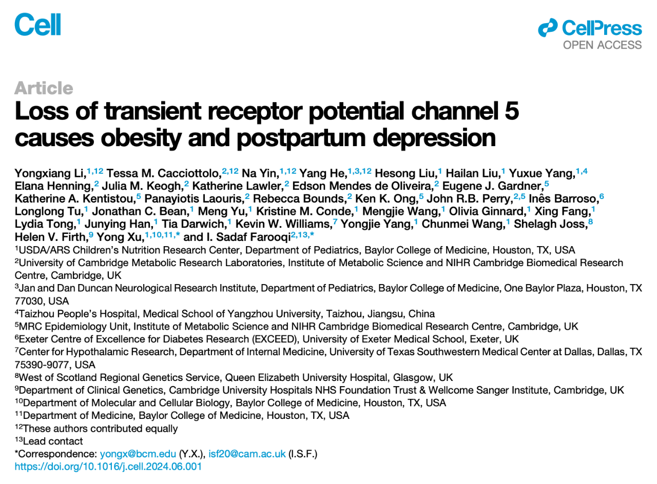 Loss of Transient Receptor Potential Channel 5 Causes Obesity and Postpartum Depression 研究論文