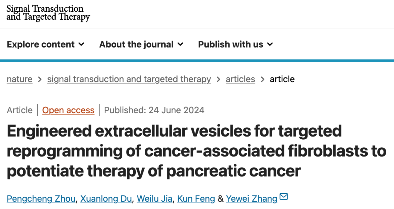 Engineered extracellular vesicles for targeted reprogramming of cancer-associated fibroblasts to potentiate therapy of pancreatic cancer 研究論文