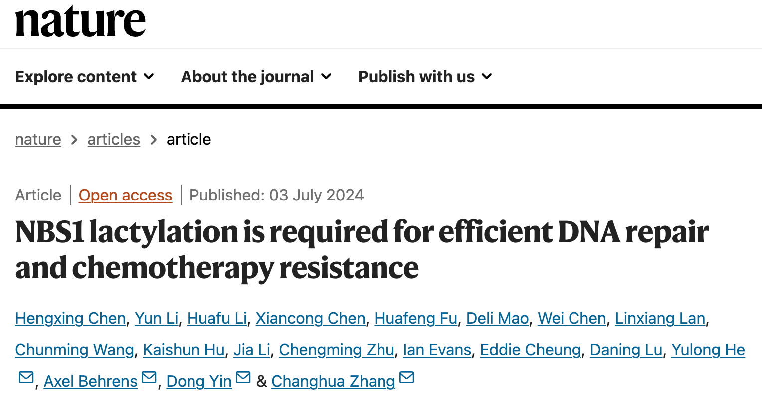 NBS1 lactylation is required for efficient DNA  repair and chemotherapy resistance 研究論文