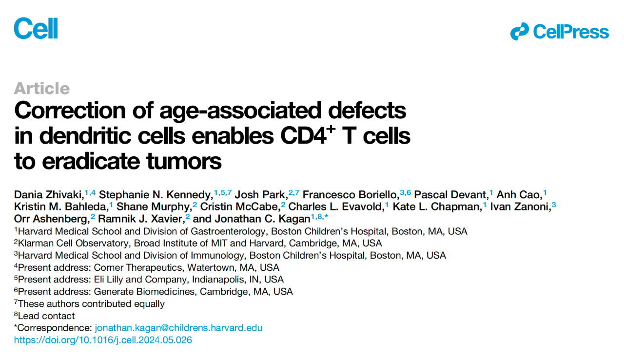 Correction of age-associated defects in dendritic cells enables CD4+ T cells to eradicate tumors 研究論文