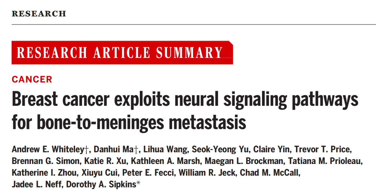 Breast cancer exploits neural signaling pathways for bone-to-meninges metastasis 研究論文