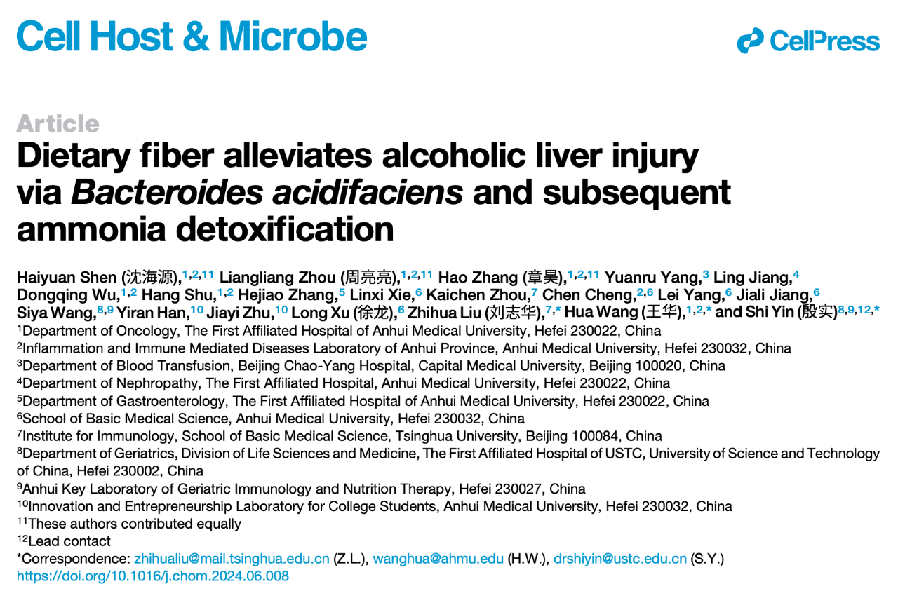 Dietary fiber alleviates alcoholic liver injury via Bacteroides acidifaciens and subsequent ammonia detoxification 研究論文