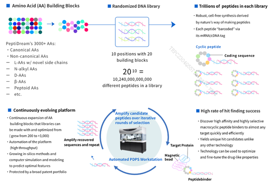 圖3.Proprietary Drug Discovery Platform System(PDPS)