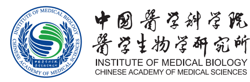 中国医学科学院医学生物学研究所