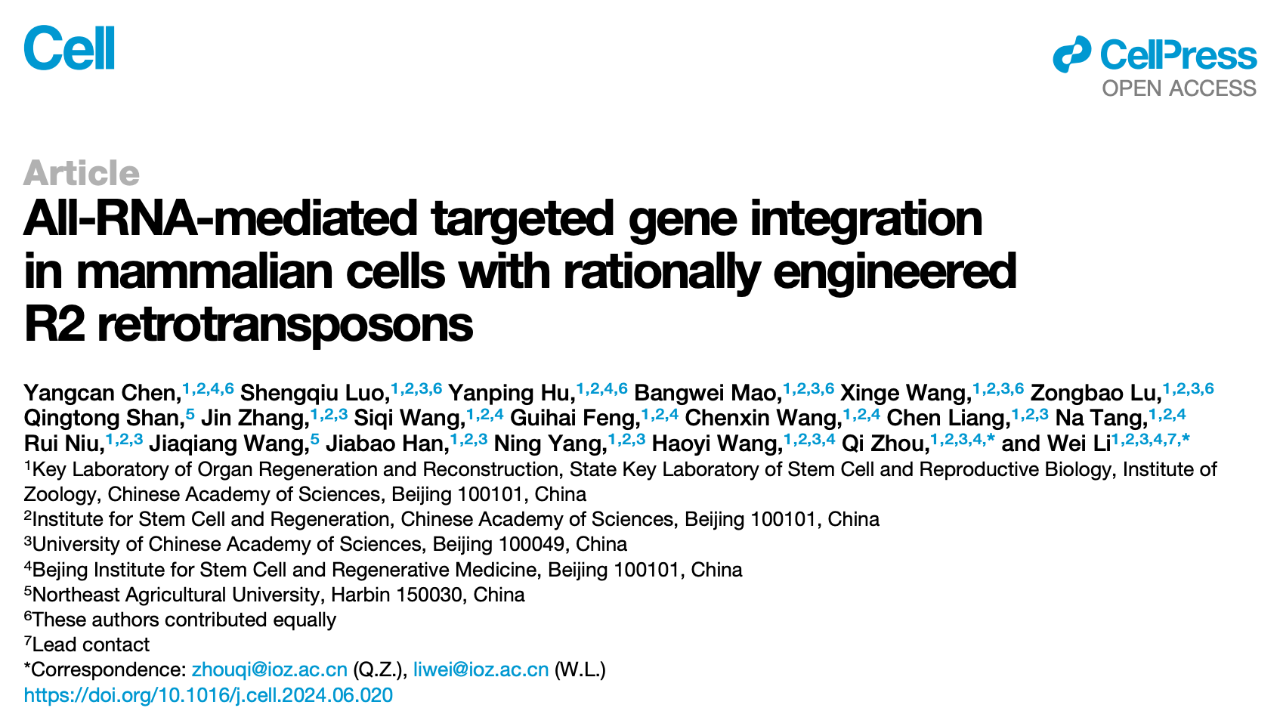 All-RNA-mediated Targeted Gene Integration in Mammalian Cells with Rationally Engineered R2 Retrotransposons 的研究論文