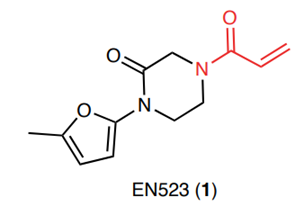 EN523结构