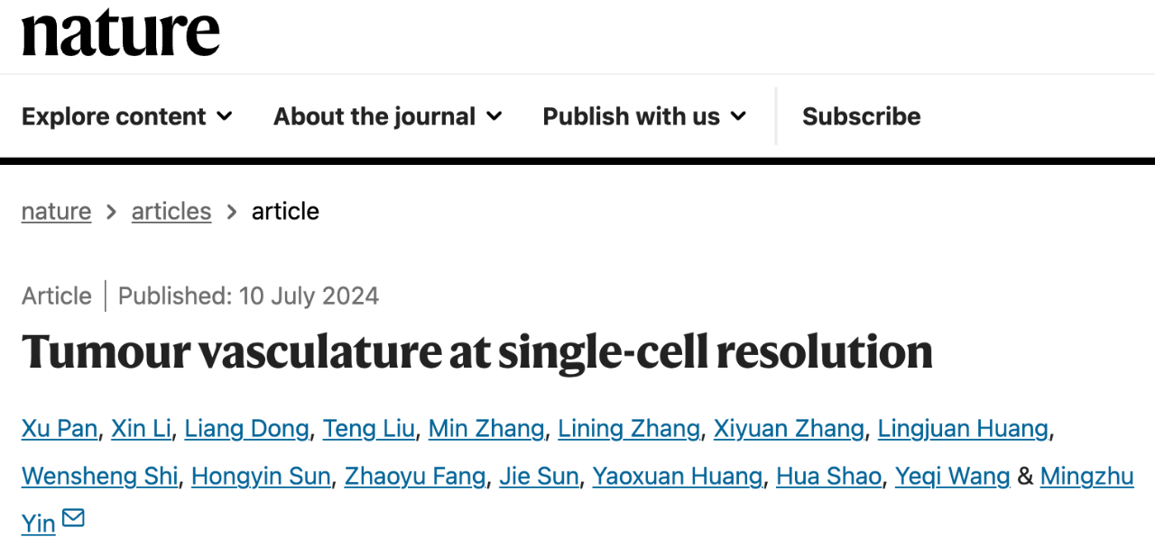 Tumour vasculature at single-cell resolution 研究論文