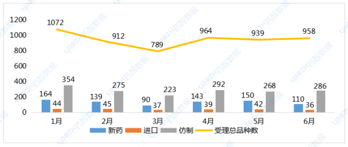 2024年1-6月注冊申請受理品種情況