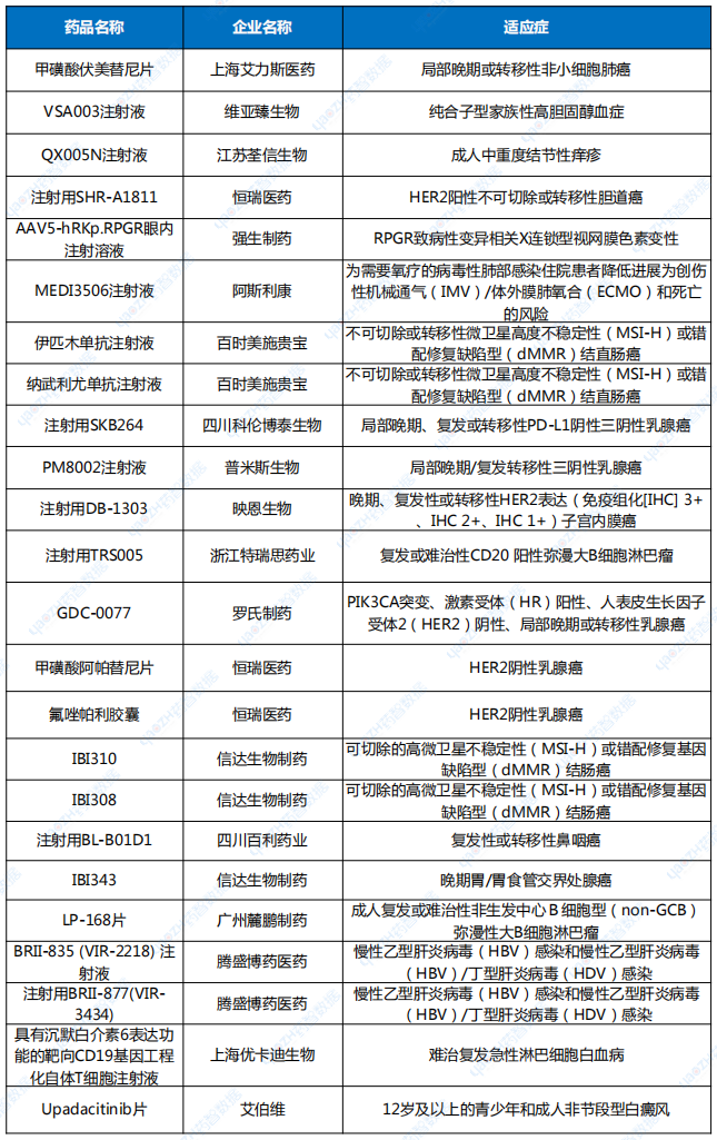 2024年1-6月納入突破性治療品種名單