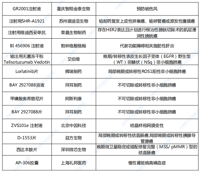 2024年1-6月納入突破性治療品種名單