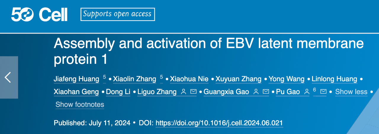 Assembly and activation of EBV latent membrane protein 1 研究論文