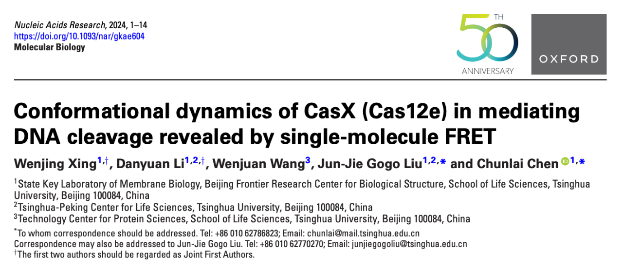 Conformational dynamics of CasX (Cas12e) in mediating DNA cleavage revealed by single-molecule FRET 研究論文