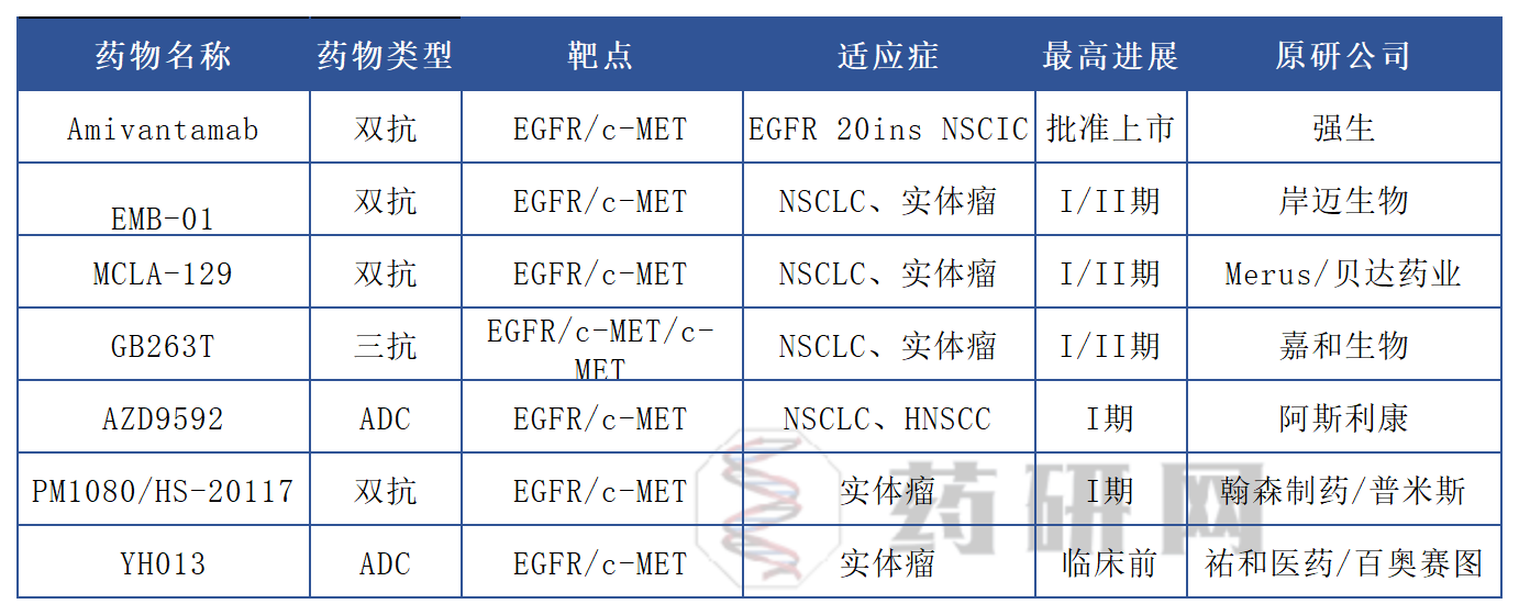 EGFR/c-MET雙靶點(diǎn)藥物