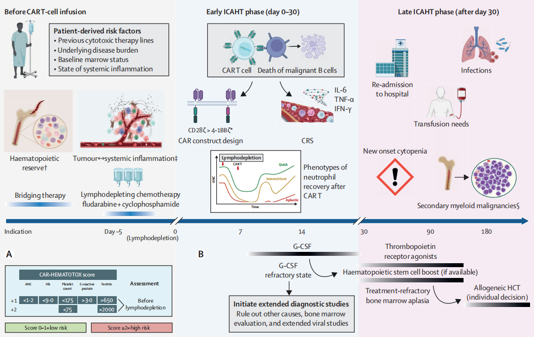 CART治療的血液學(xué)毒性時(shí)間線