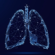 肺腺癌天然候选药物分子：6-甲氧基二氢血根碱