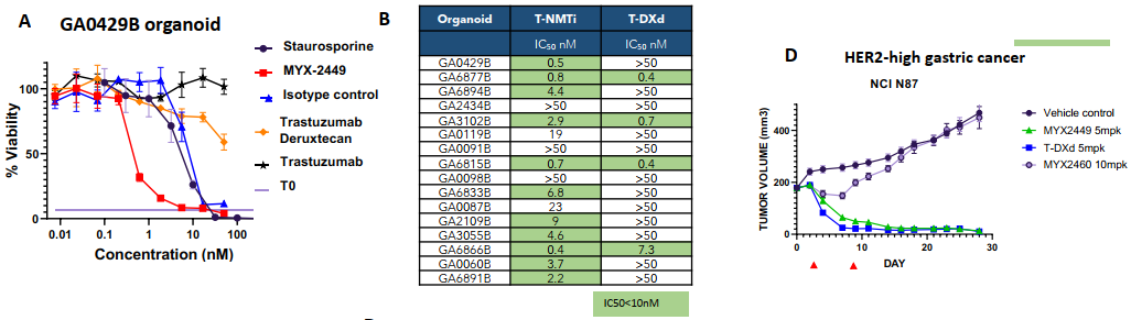 NMTi payload的半衰期