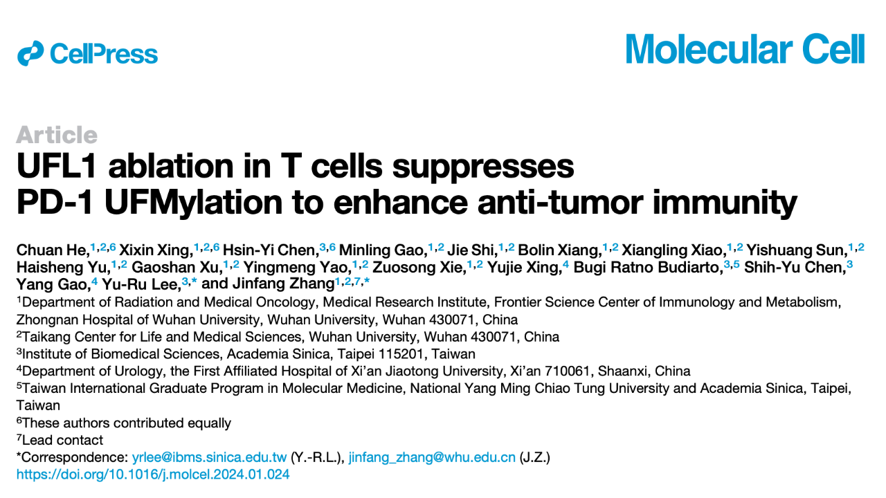 UFL1 ablation in T cells suppresses PD-1 UFMylation to enhance anti-tumor immunity 研究論文