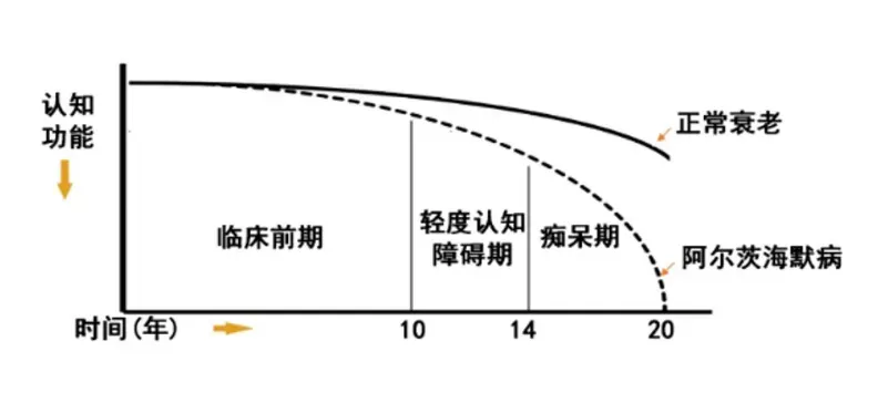 衰老與阿爾茨海默病