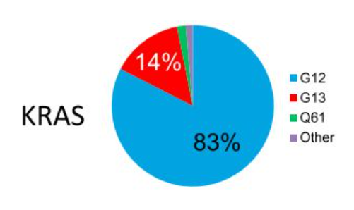 KRAS最常見的位點(diǎn)