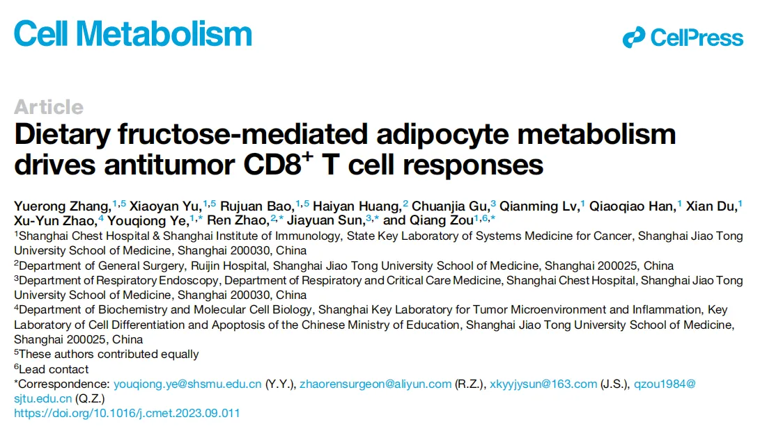 Dietary fructose-mediated adipocyte metabolism drives antitumor CD8+ T cell responses 研究論文