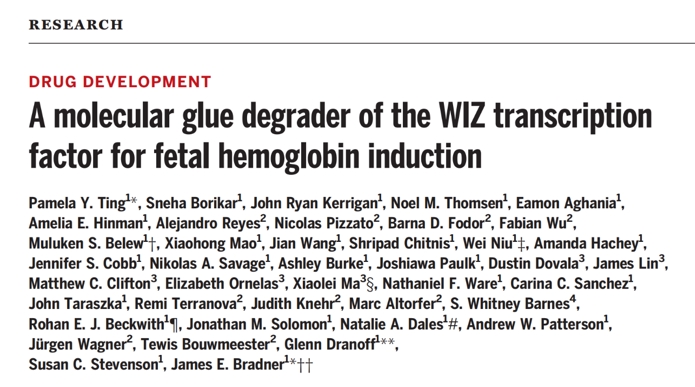 通過分子膠降解WIZ轉(zhuǎn)錄因子誘導(dǎo)胎兒血紅蛋白（HbF）產(chǎn)生的策略