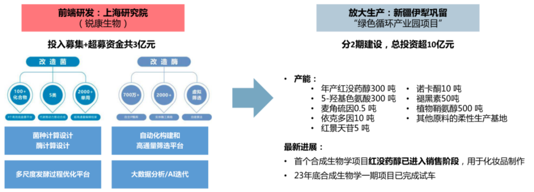 川宁生物合成生物投资计划